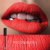 Lipstick Matte Liquid Waterproof Moisture Set