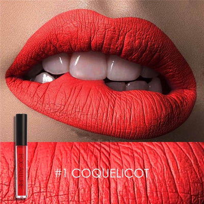 Lipstick Matte Liquid Waterproof Moisture Set