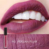 Lipstick Matte Liquid Waterproof Moisture Set