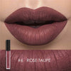Lipstick Matte Liquid Waterproof Moisture Set