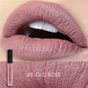 Lipstick Matte Liquid Waterproof Moisture Set