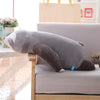 Sloth Stuffed Plush Toys